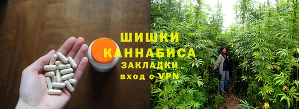 тгк Володарск