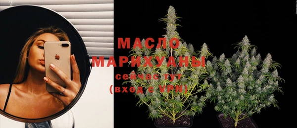 тгк Володарск