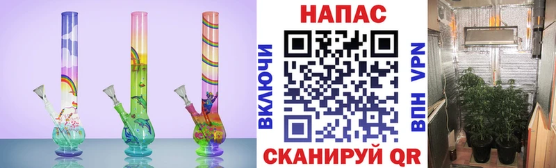 Бошки марихуана VHQ  Полярные Зори 